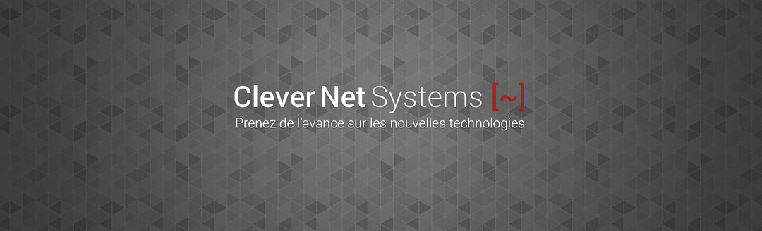 Clever Net Systems cover